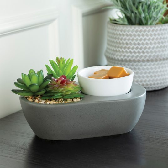 wax succulent Succulent ArtScents Wax Warmer