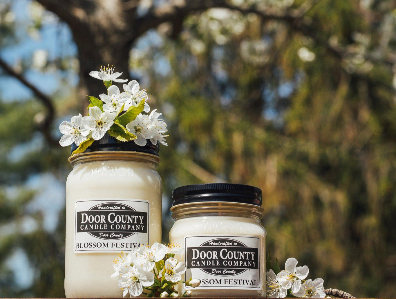 Refresh Your Home for Spring with Light, Floral Scents