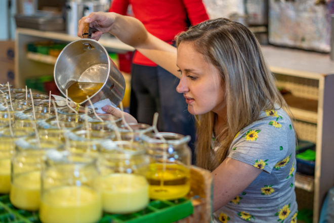 Sunday Reflections ✨ 2.02.2026